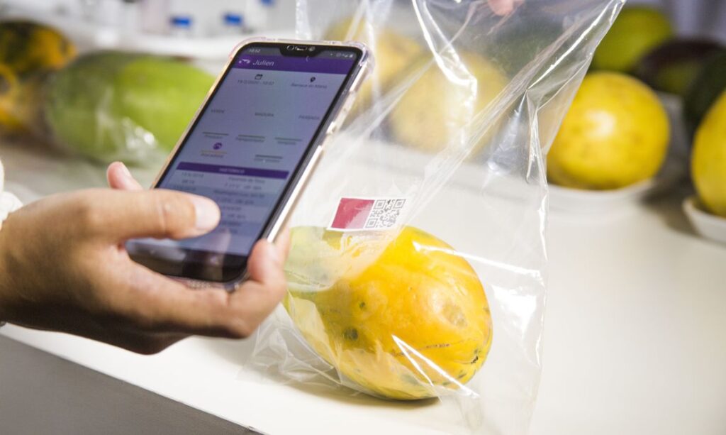 Geral Embrapa desenvolve sensor que avalia grau de maturação de frutas