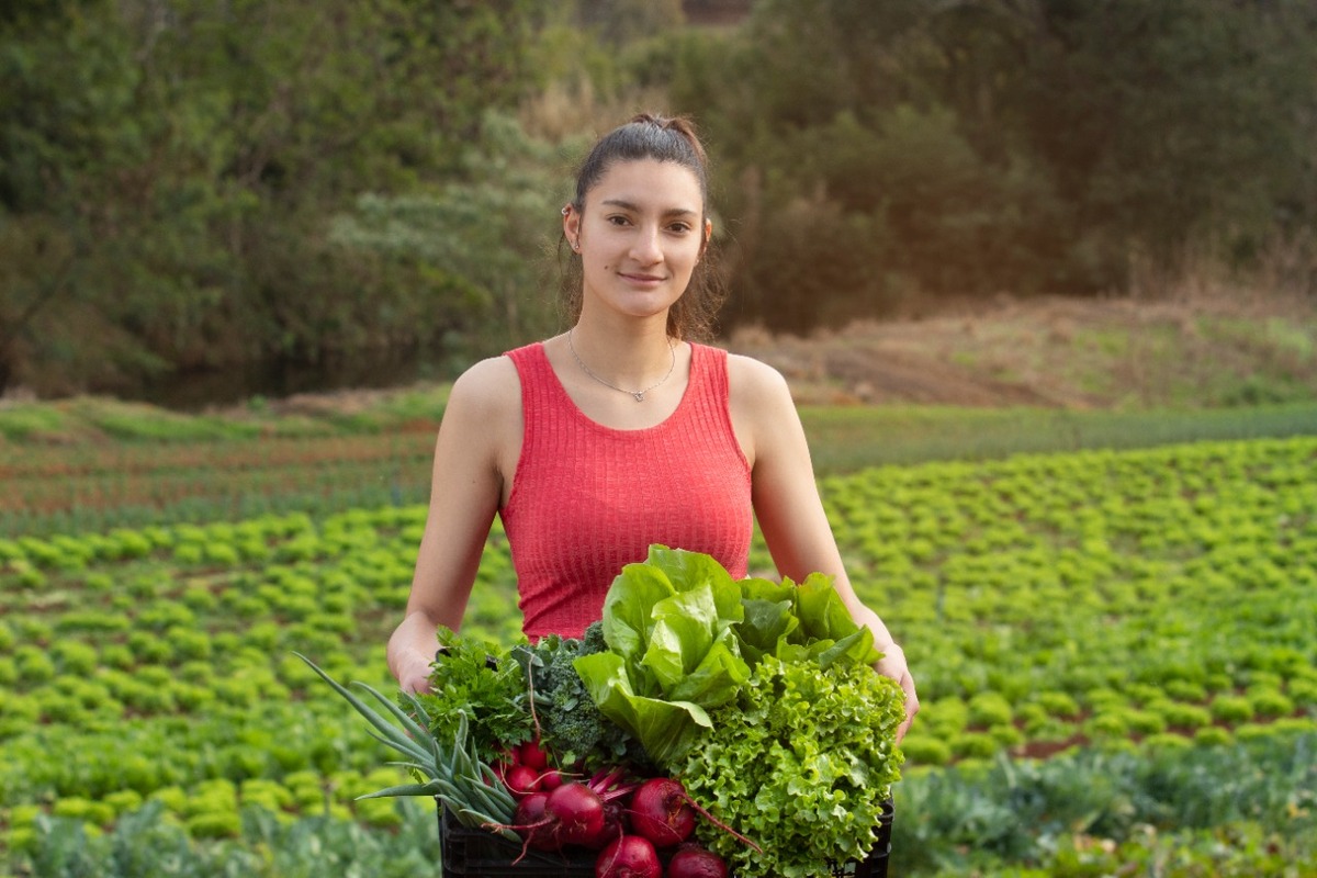 Lei em Cascavel permite venda de produtos da agricultura familiar diretamente ao Município