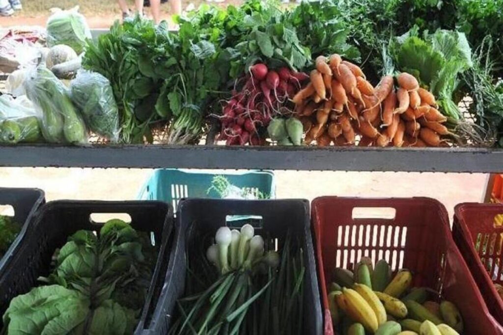 Associação defende classificação de alimentos produzidos no Brasil como forma de controle da qualidade