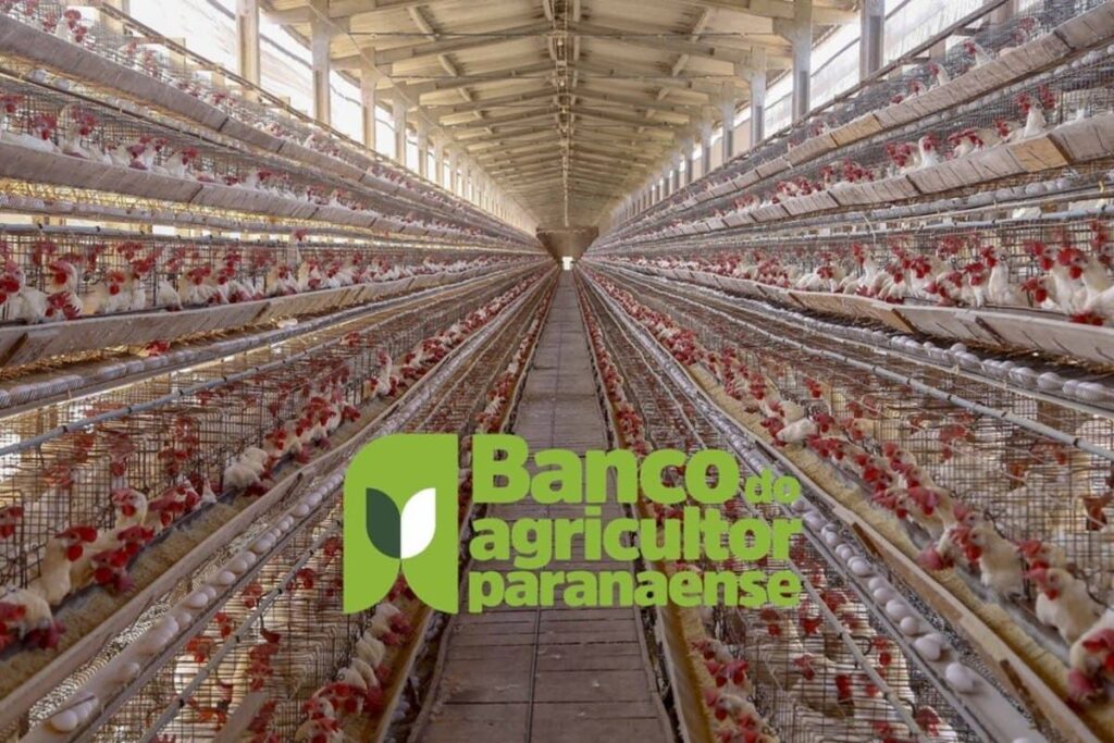 Com juros subsidiados pelo Estado, Banco do Agricultor já muda a realidade dos paranaenses