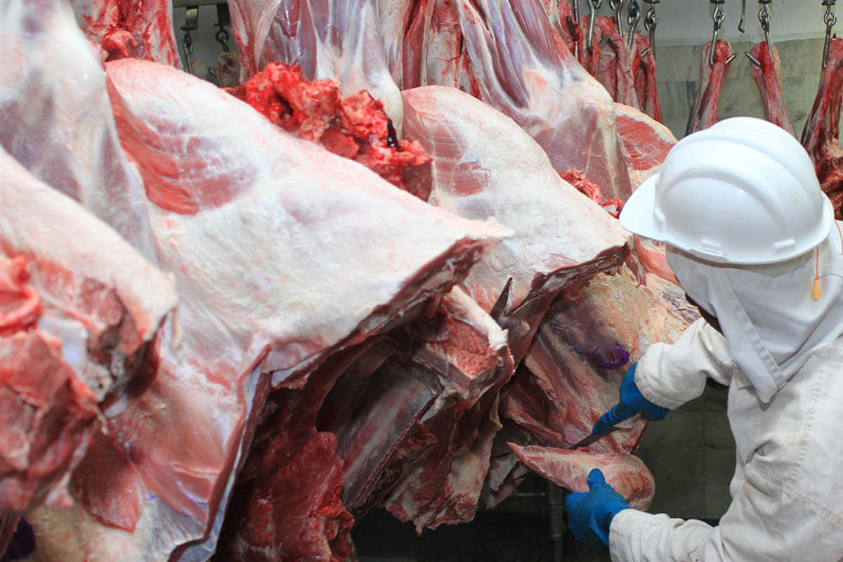 Exportação de carne bovina por portos do Paraná sobe 113% em 2022