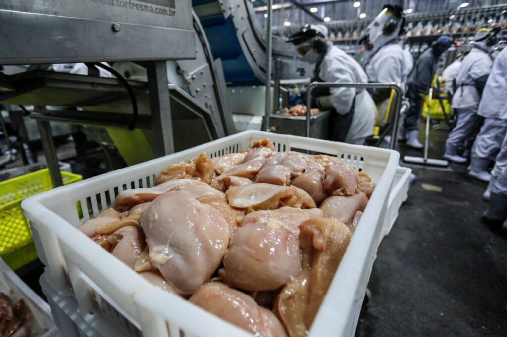 Exportações brasileiras de carne de frango encerram 2022 com recorde