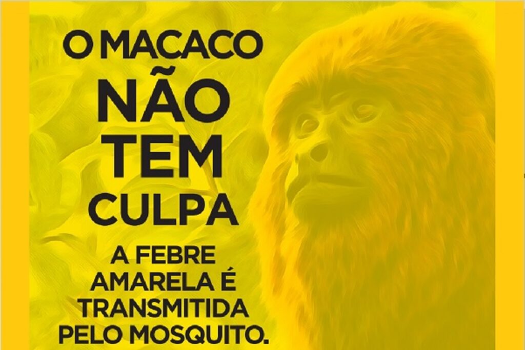 Macacos funcionam como sentinelas de Toledo contra a Febre Amarela