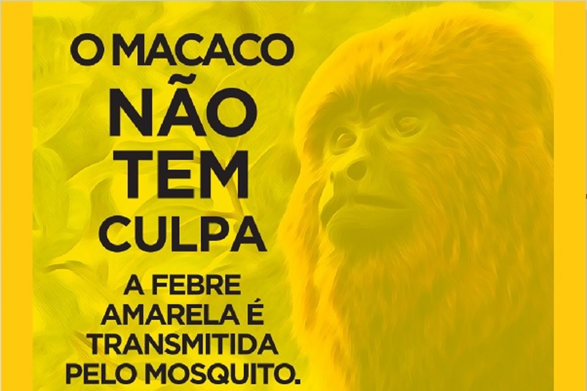 Macacos funcionam como sentinelas de Toledo contra a Febre Amarela