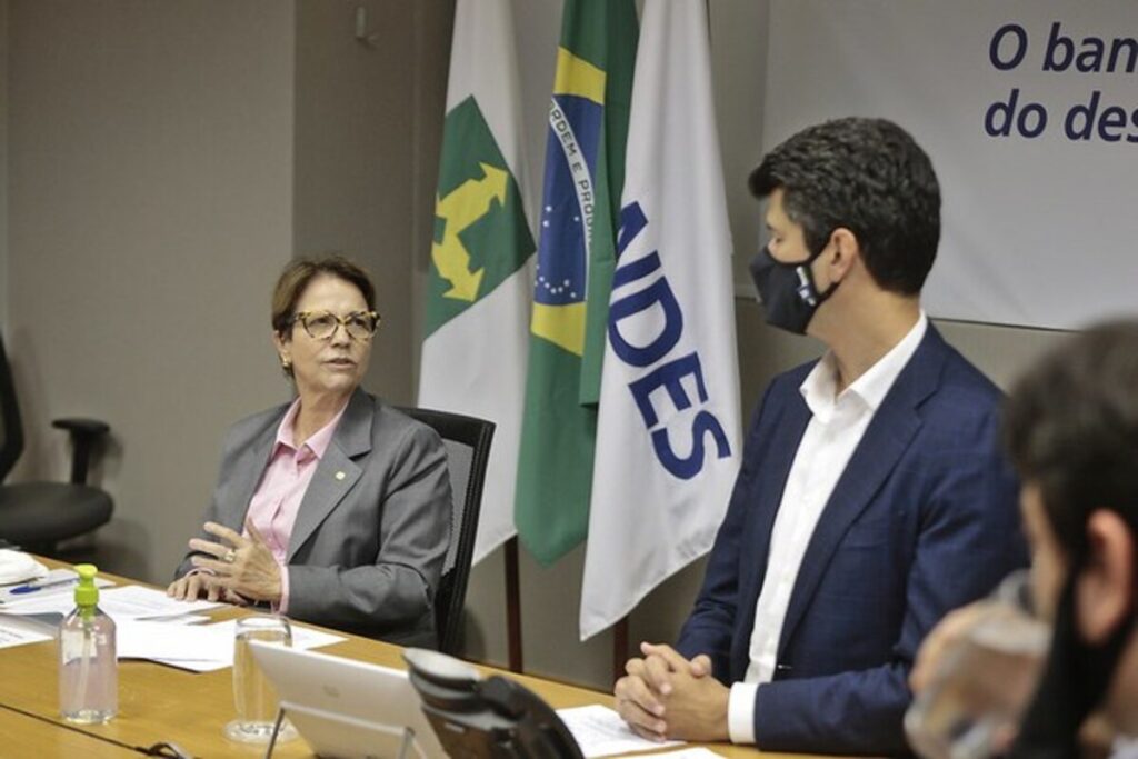 Mapa e BNDES iniciam parceria para ampliar concessões florestais no PR e SC