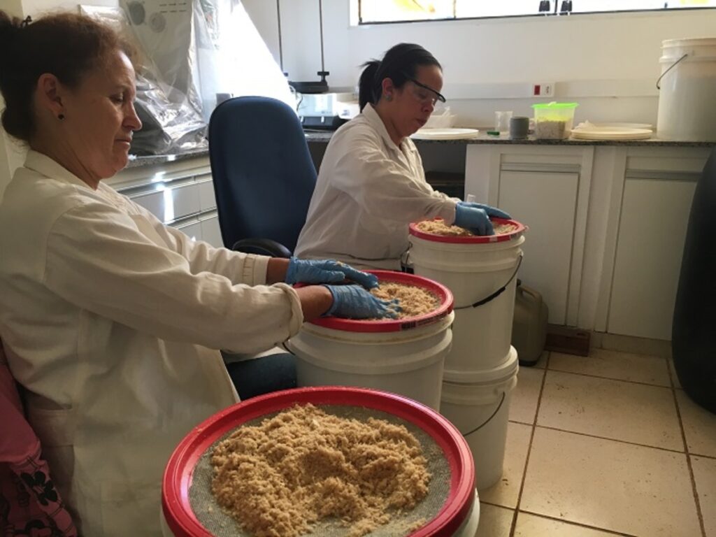 Pesquisa produz material usado no controle de qualidade do filé de peixe