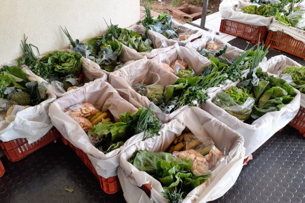 Agricultura prevê ano positivo para os produtores paranaenses de maçã