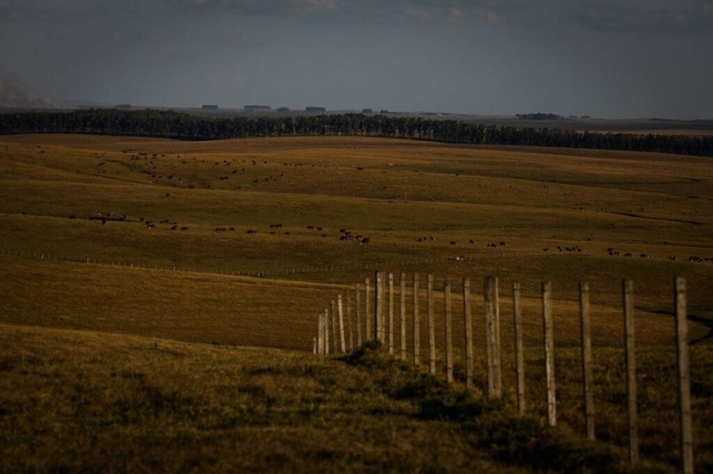 Leoclides Bisognin visita propriedade rural para conhecer projeto de usina de reciclagem de dejetos suínos