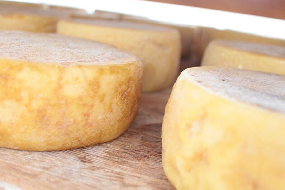 Consulta pública sobre regras para fabricação de queijo artesanal vai até 24 de janeiro