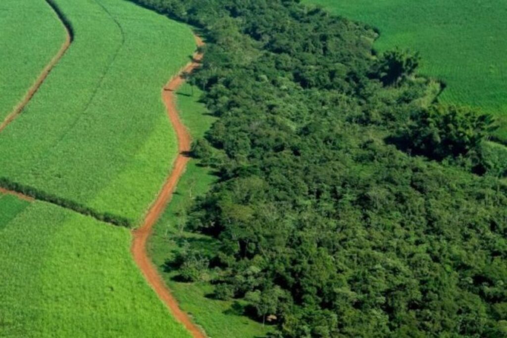 Prazo para produtor garantir benefícios do programa de regularização ambiental termina em dezembro