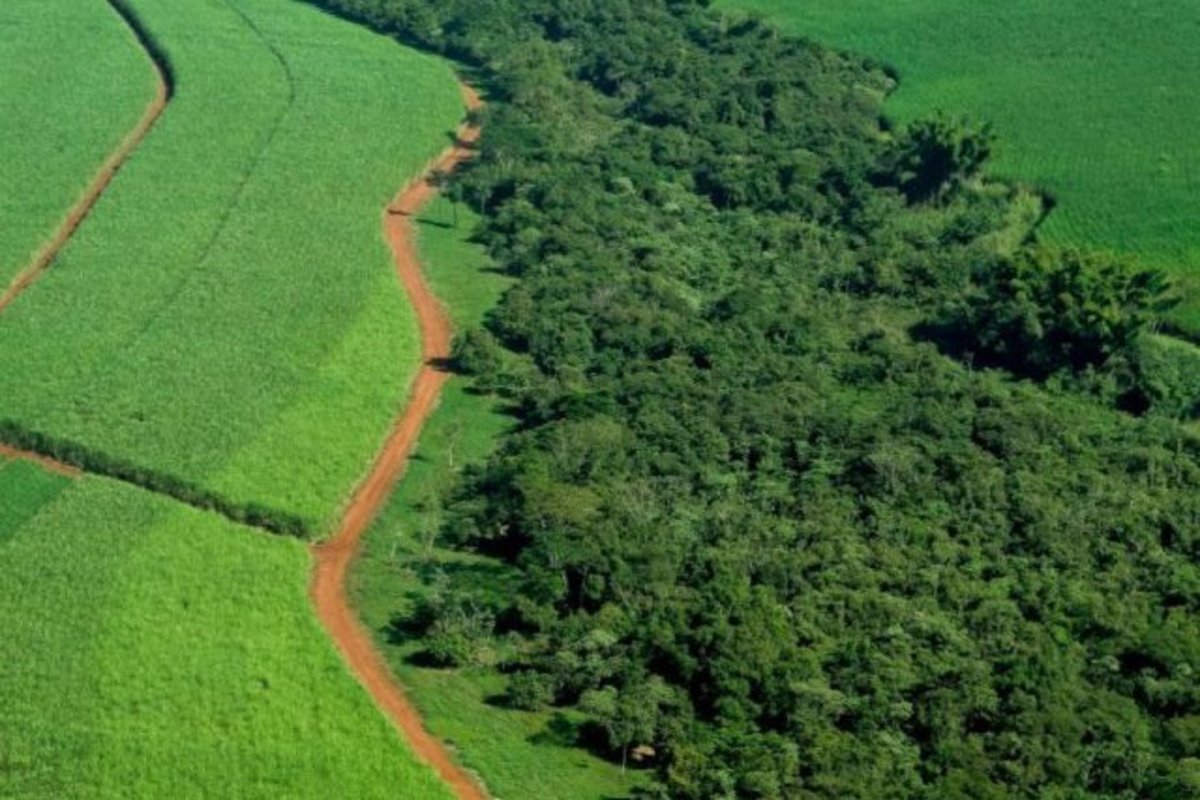 Prazo para produtor garantir benefícios do programa de regularização ambiental termina em dezembro