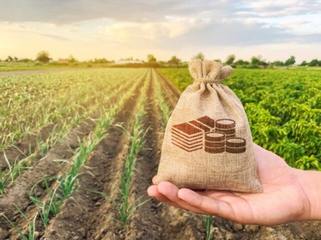 Mapa vai apoiar seguro paramétrico como opção para o produtor rural proteger suas atividades