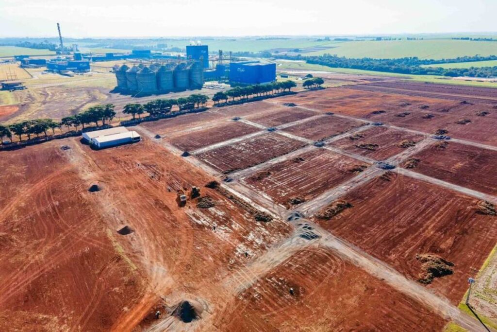 C.Vale investe em mega esmagadora de grãos