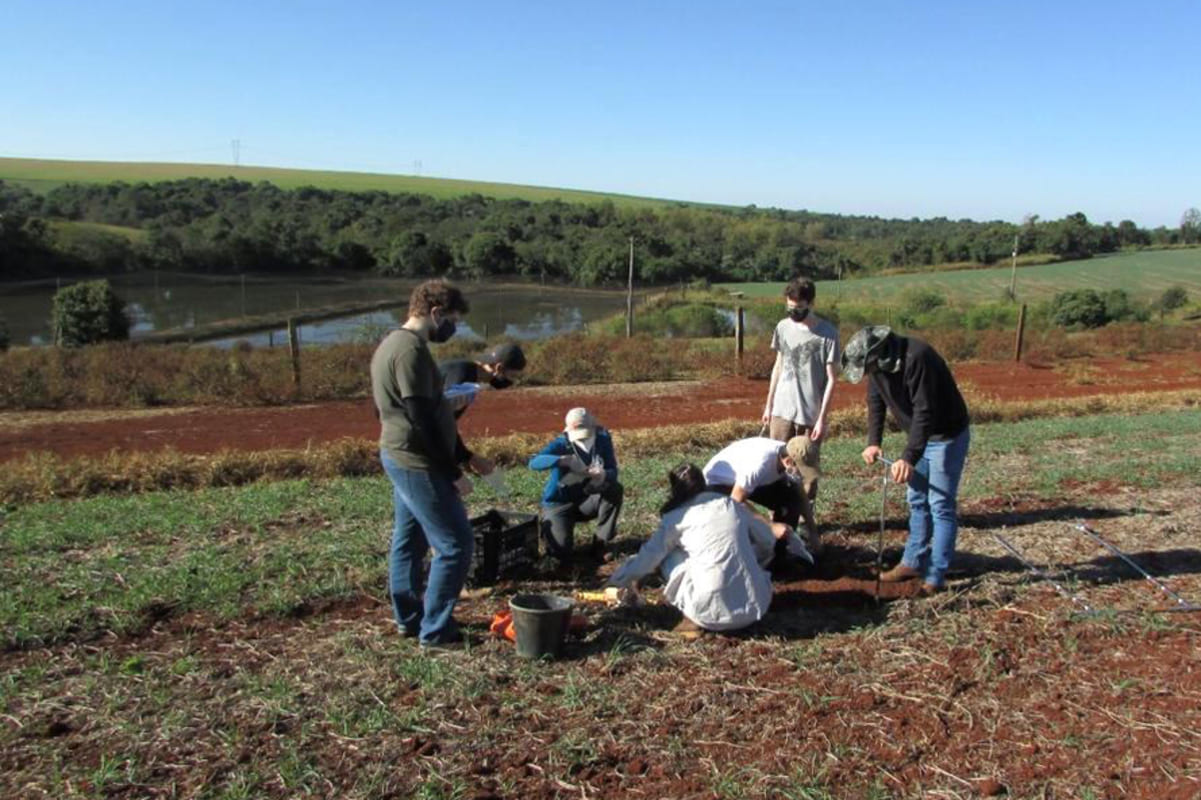 Unioeste participa de projeto internacional sobre promoção dos ODS em comunidades rurais