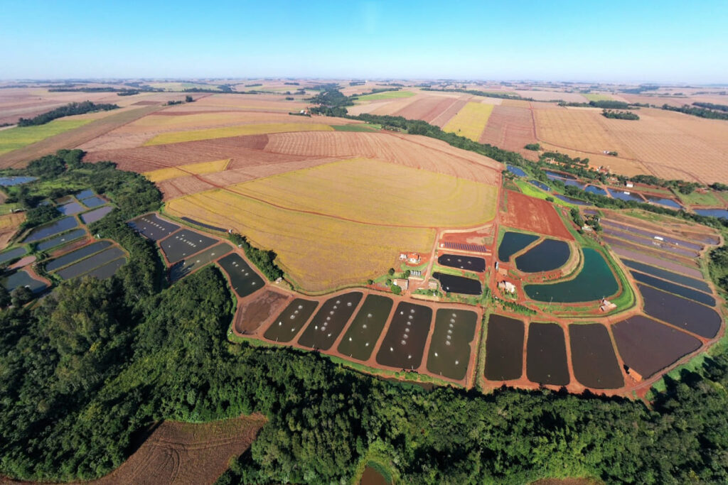 Valor Bruto da Produção Agropecuária cresce quase 25% em Maripá