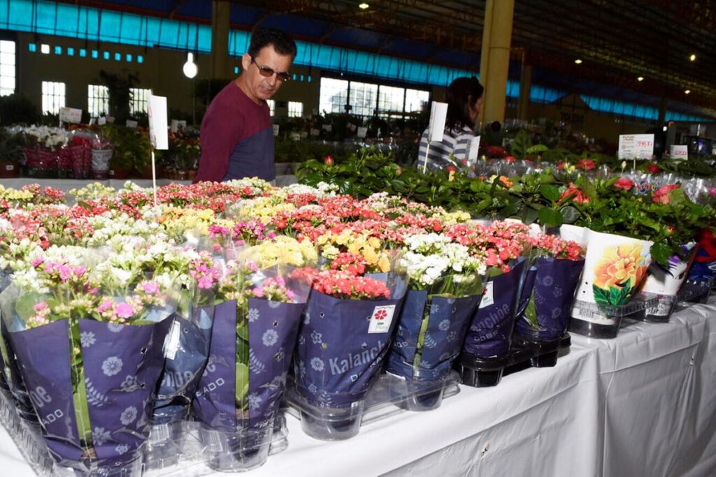 Abertura da 4ª Tole Flores é prestigiada pela gestão municipal