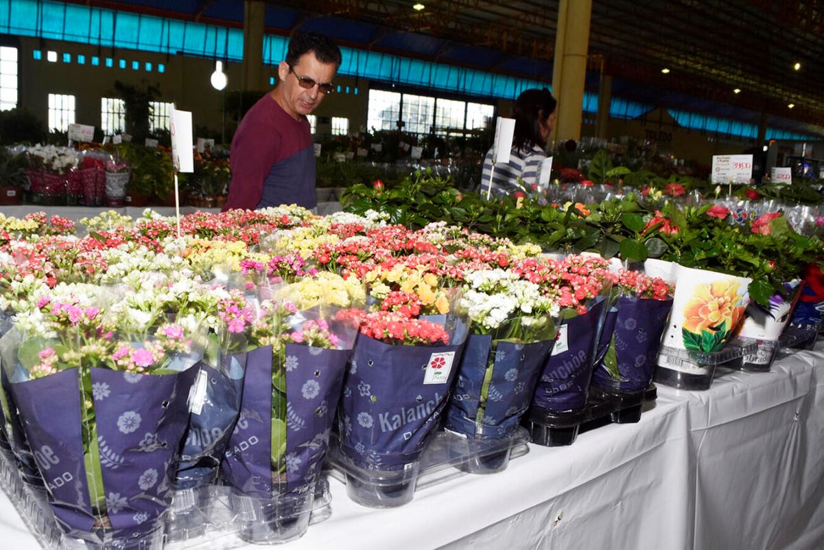 Abertura da 4ª Tole Flores é prestigiada pela gestão municipal