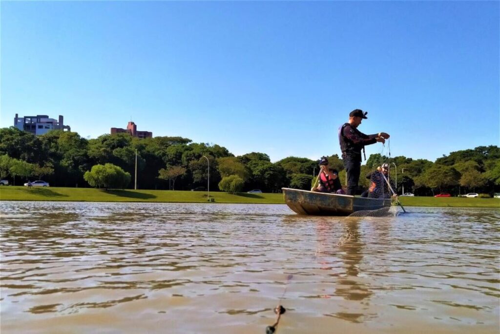 Cursos da Unioeste analisam os peixes e contaminantes microbiológicos Parque Ecológico