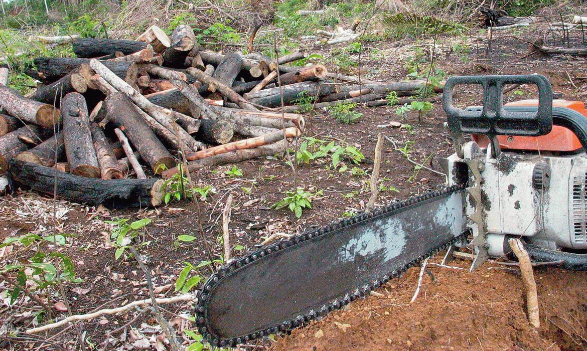 Aplicativo permite denúncias de crimes ambientais na Amazônia