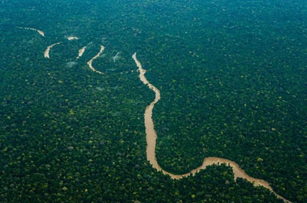 Projeto que conserva a Amazônia gerando renda para as comunidades locais será apresentado pela Petrobras na COP-27