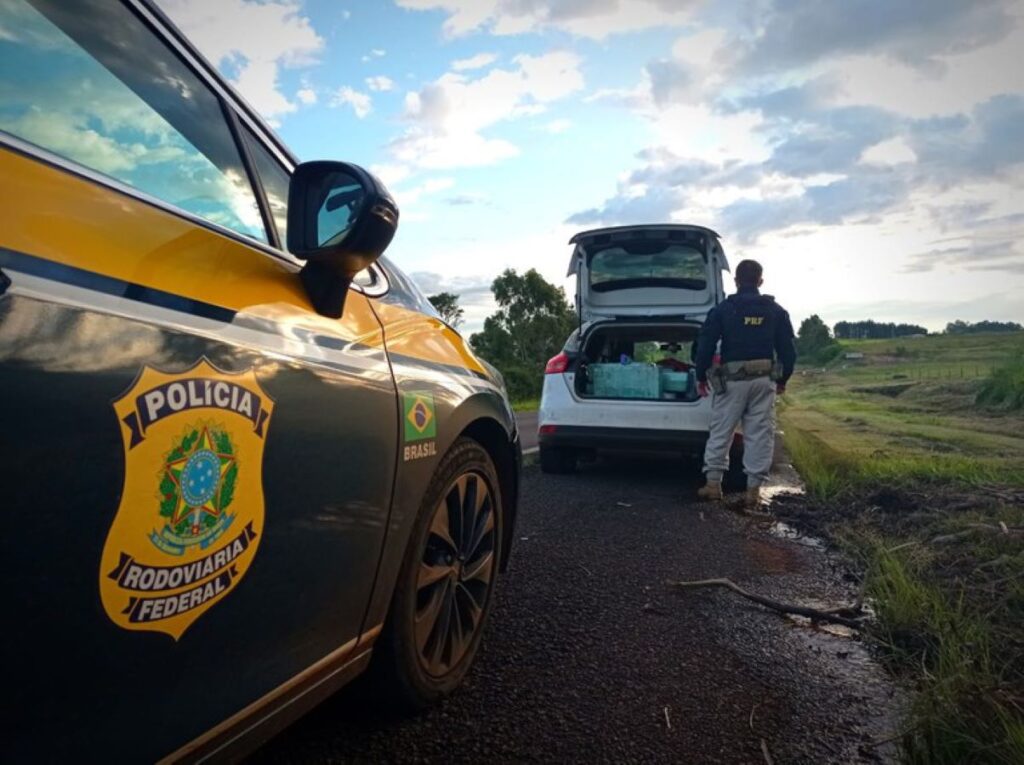 Meia tonelada de maconha, que partiu de Toledo, é apreendida pela PRF