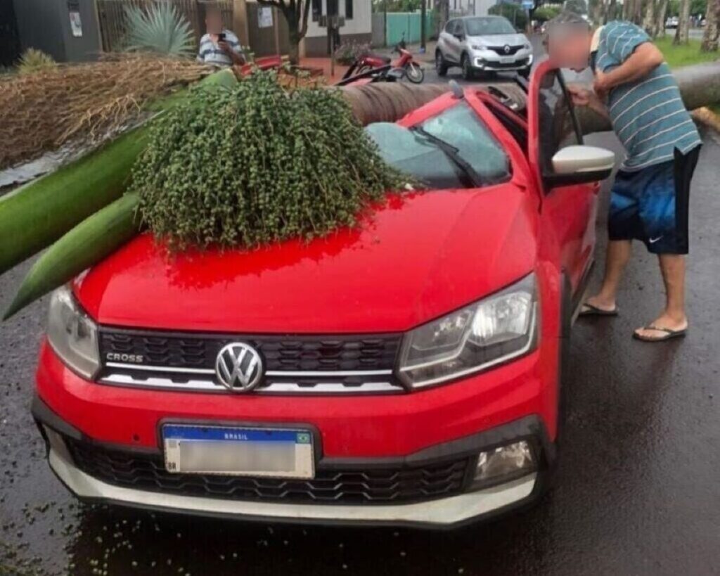 Com forte chuva, árvore cai sobre carro em Assis Chateaubriand
