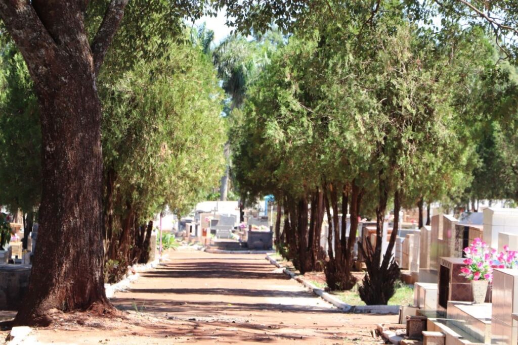 Assis Chateaubriand realiza audiência pública a respeito do corte de árvores no Cemitério Jardim da Paz