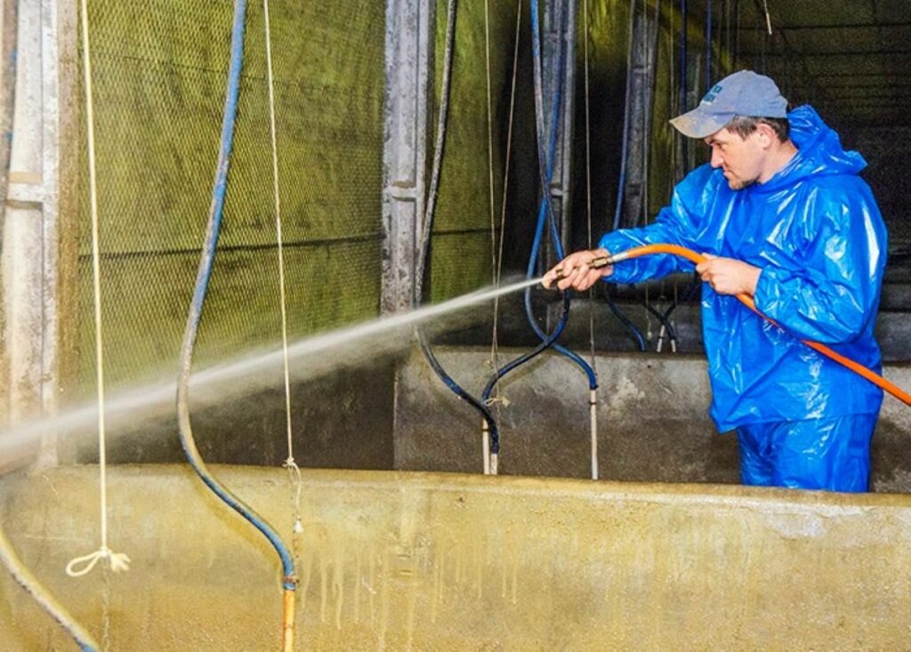 Biosseguridade na produção de suínos e aves é destaque da Embrapa no Show Rural