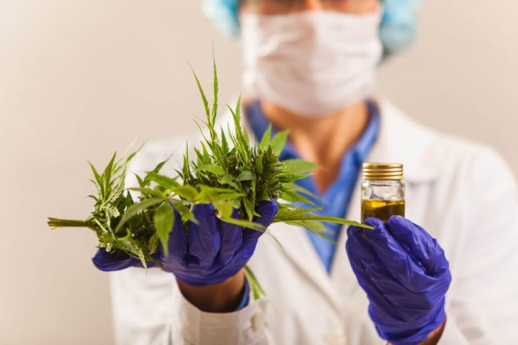 Incorporação da cannabis medicinal ao SUS é discutida na Alep