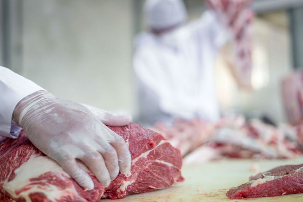 Tereza Cristina envia carta a ministro chinês sobre suspensão da exportação de carne bovina