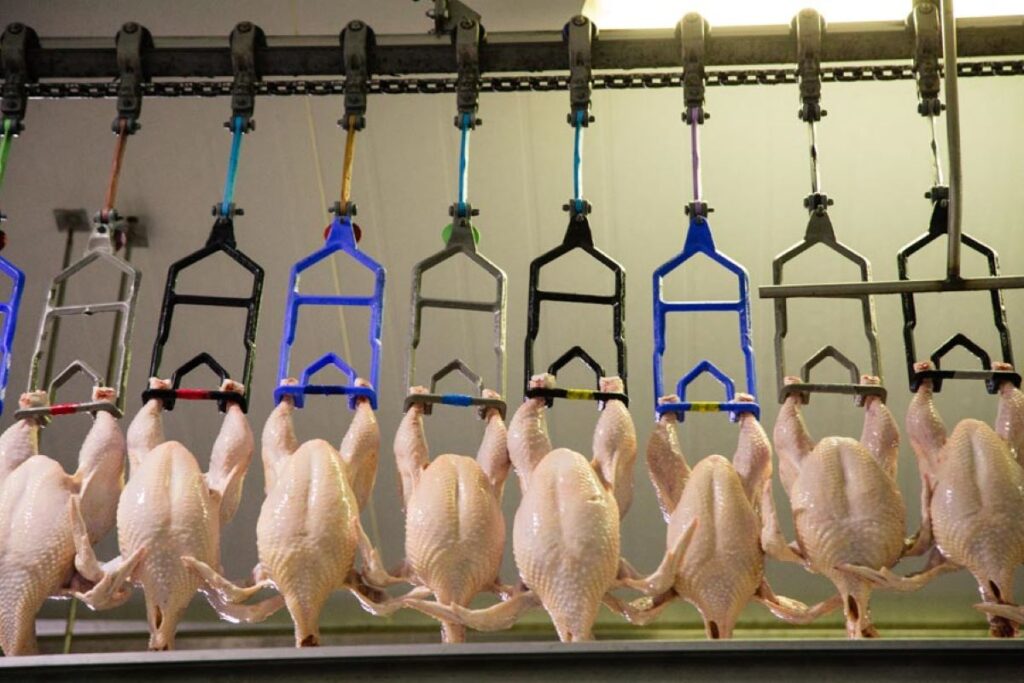 Puxadas por carne de frango, exportações do Paraná crescem 6,1% em janeiro de 2023