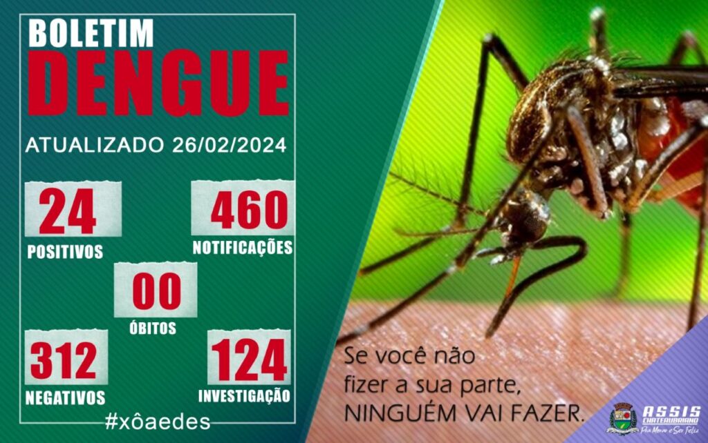 Quinze novos casos de dengue são confirmados em Assis Chateaubriand