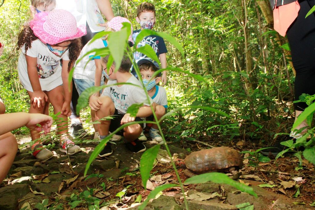 Crianças do maternal fazem visita ao Horto Florestal em Toledo