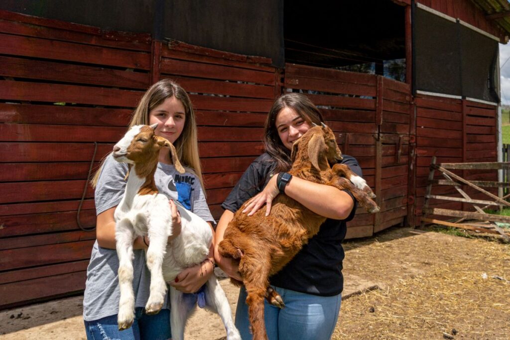 Governo propõe implementar cooperativas-escolas para potencializar colégios agrícolas