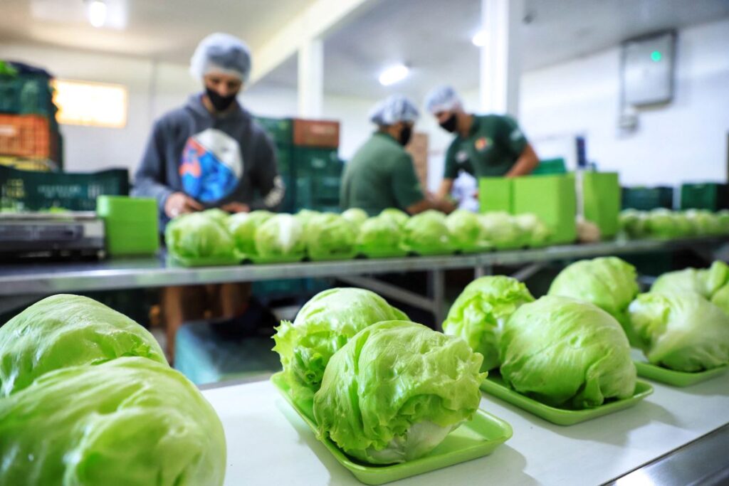 Estado abre chamada pública de R$ 80 milhões para compras da agricultura familiar