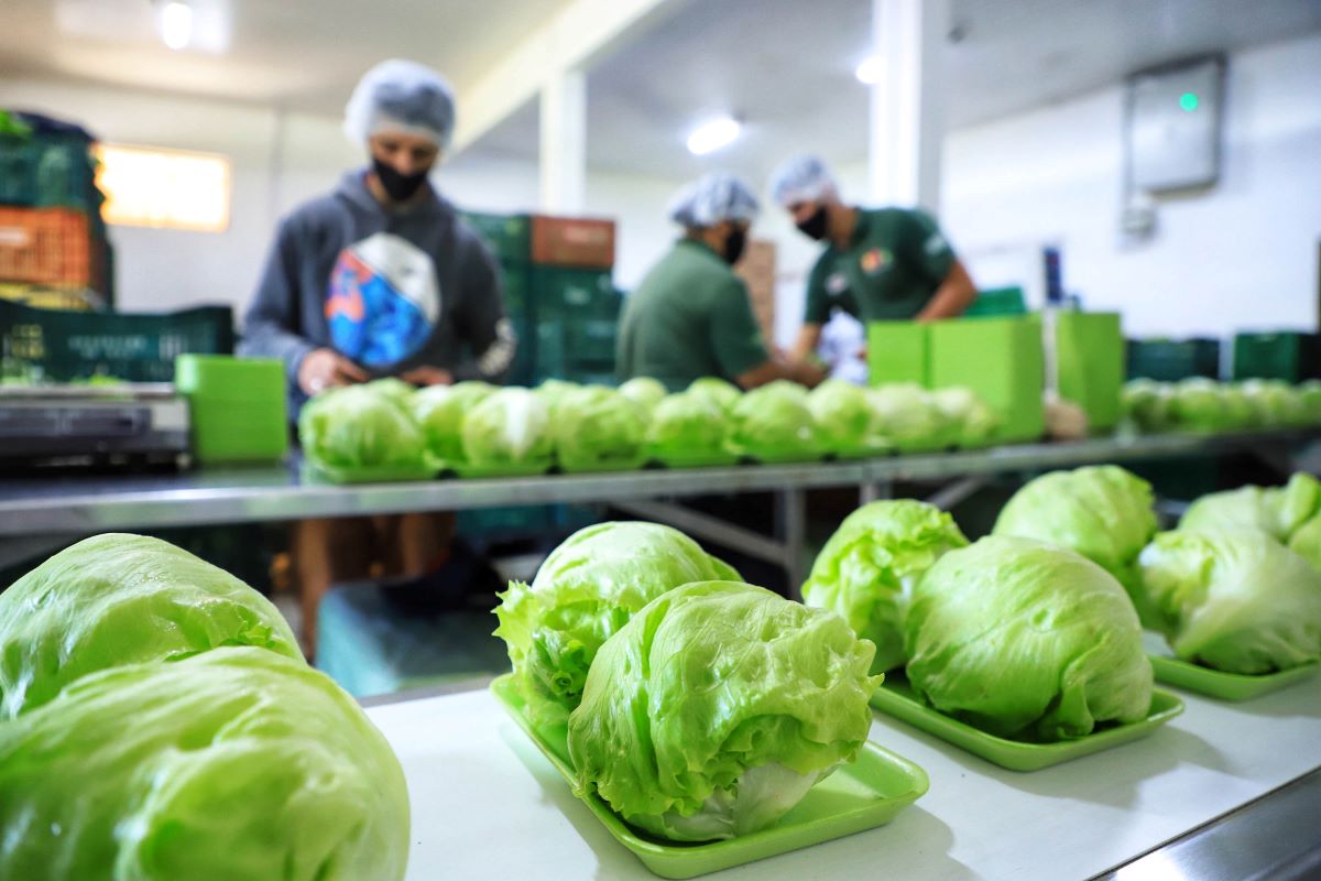 Estado abre chamada pública de R$ 80 milhões para compras da agricultura familiar