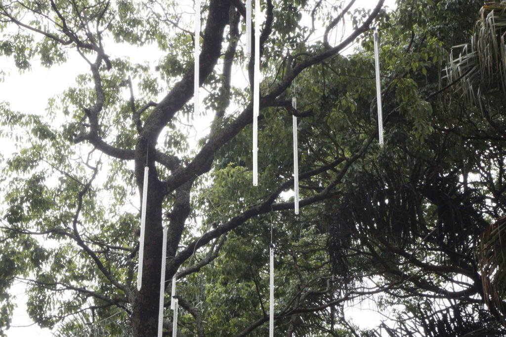 Clima de Natal: Prefeitura inicia montagem da decoração natalina