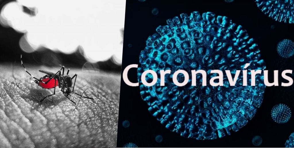 Coronavírus – dengue a conscientização e responsabilidade pública