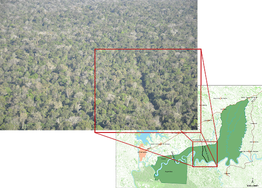 MPPR alerta para inconstitucionalidade de projeto que autoriza a reabertura da Estrada do Colono