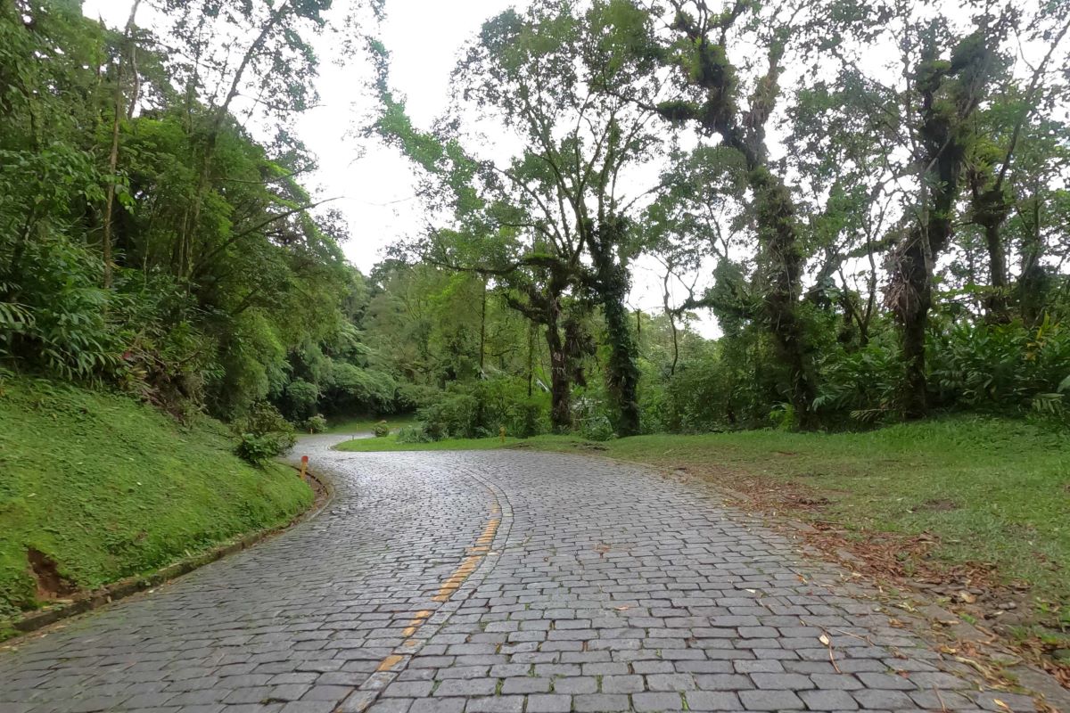 Três empresas disputam edital de monitoramento de áreas de risco da Estrada da Graciosa
