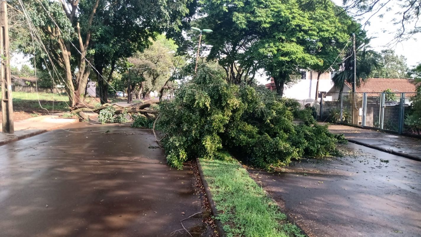 Temporal causa estragos em Toledo e deixa mais de 1.300 unidades consumidoras sem energia