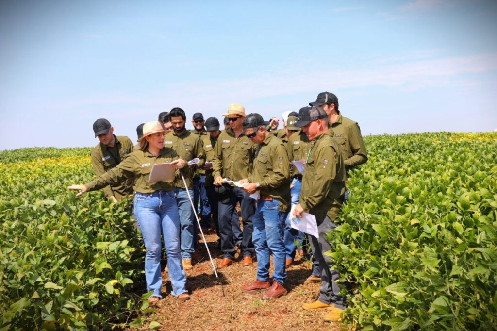 Experts do Agro: cooperados realizam tour técnico no CPA da Copacol