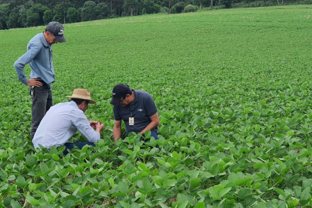 Giro Técnico da Soja divulga boas práticas de cultivo a mais de mil produtores no Estado