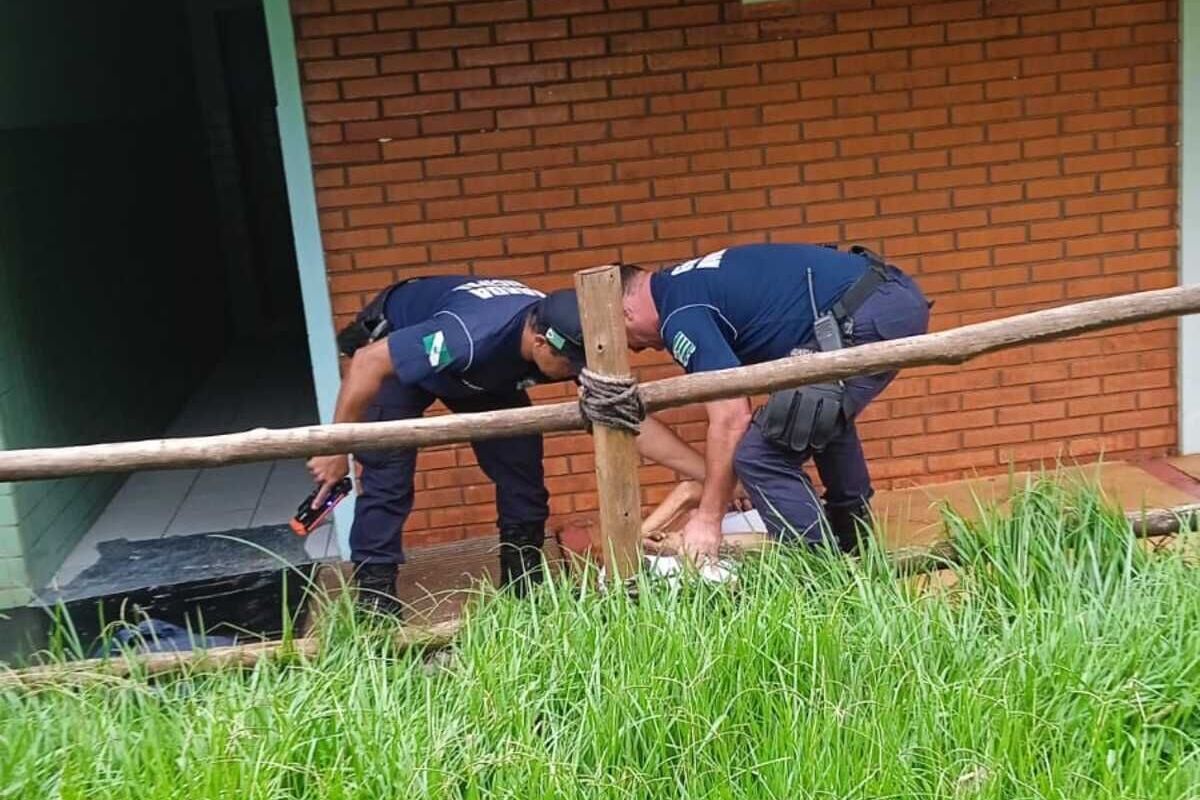 Guarda Municipal de Toledo prende ladrão que estava armado no Parque das Águas; criminoso ameaçou funcionária do local