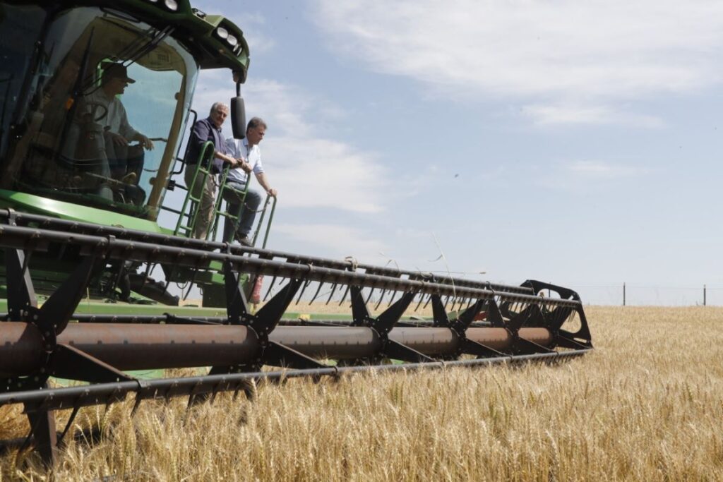 Cascavel dá largada para tornar Brasil autossuficiente na produção de trigo