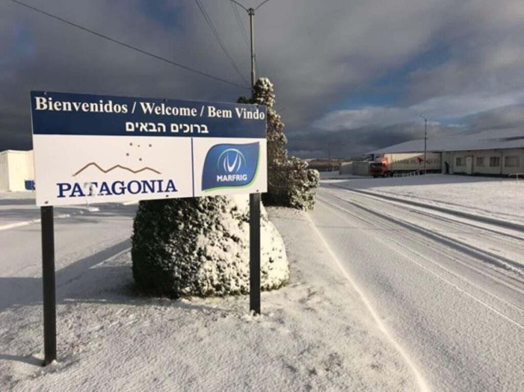 Marfrig investe na produção de cordeiro da Patagônia
