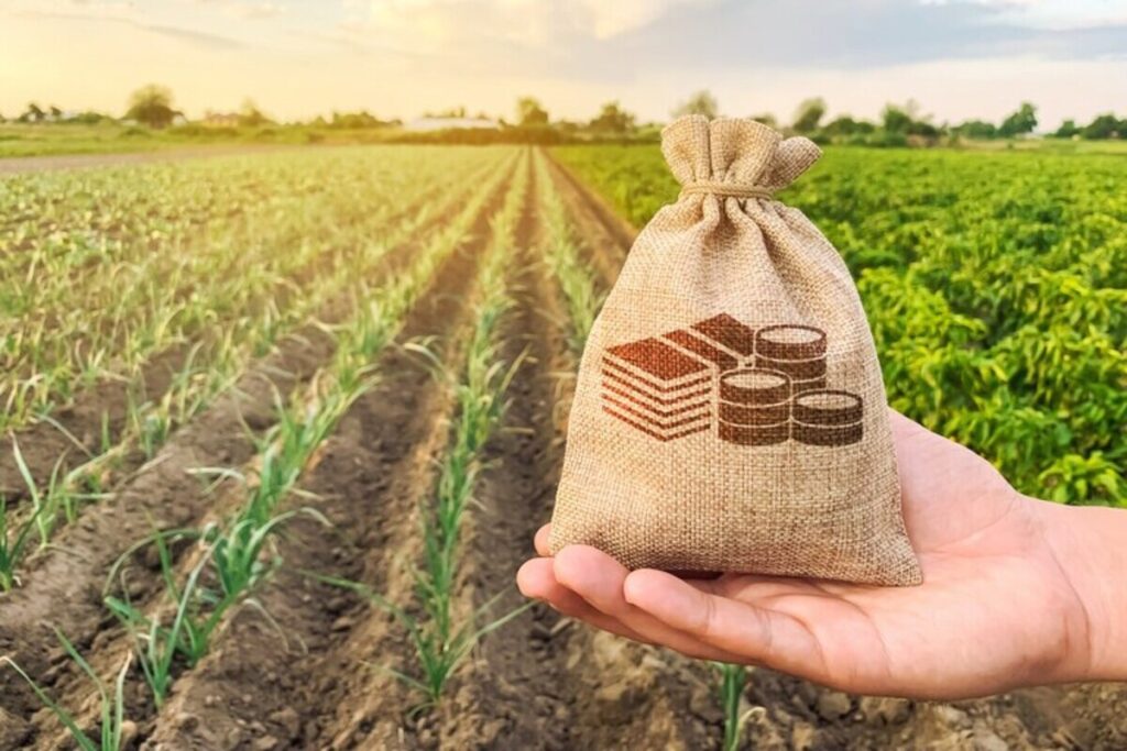 Com R$ 27 bilhões, crédito rural atinge recorde no primeiro mês da safra 2021/2022