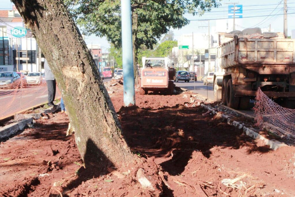 Segunda etapa da revitalização da Parigot de Souza inicia na próxima semana