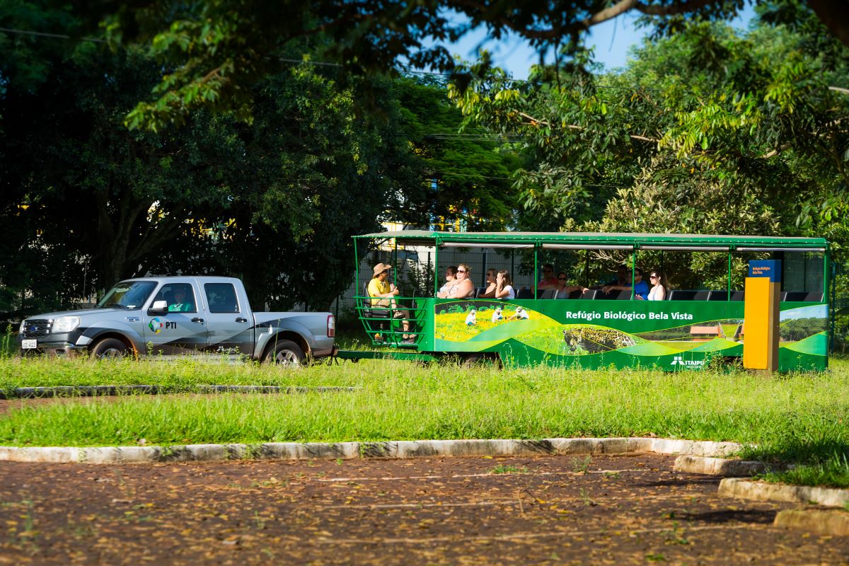Refúgio Biológico da Itaipu ganha novos moradores