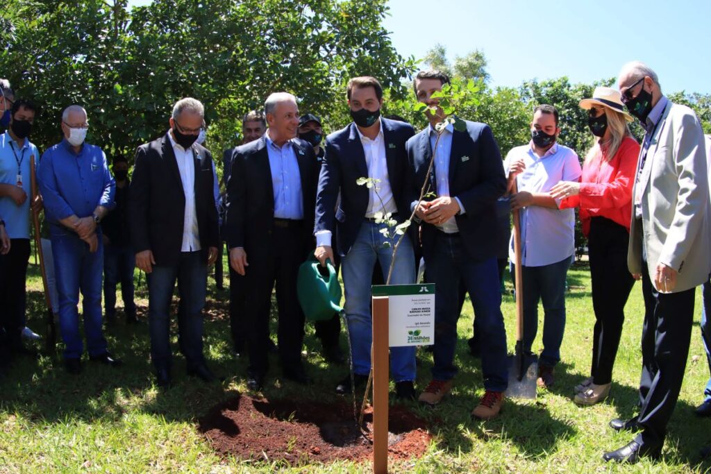 Em Foz do Iguaçu, governador acompanha plantio da 24ª milionésima árvore pela Itaipu